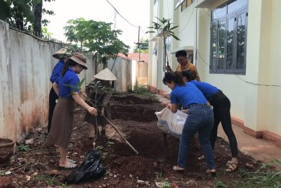 Nhà trường, công đoàn, đoàn thanh niên trường Mầm  Non hoa mai trồng cây nhân ngày sinh nhật Bác Hồ kính yêu 19/05